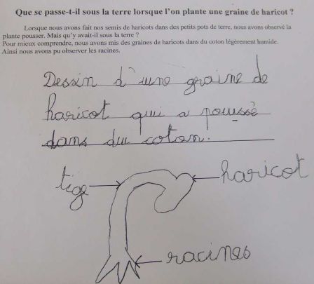 dossier_jardinerie_003.JPG